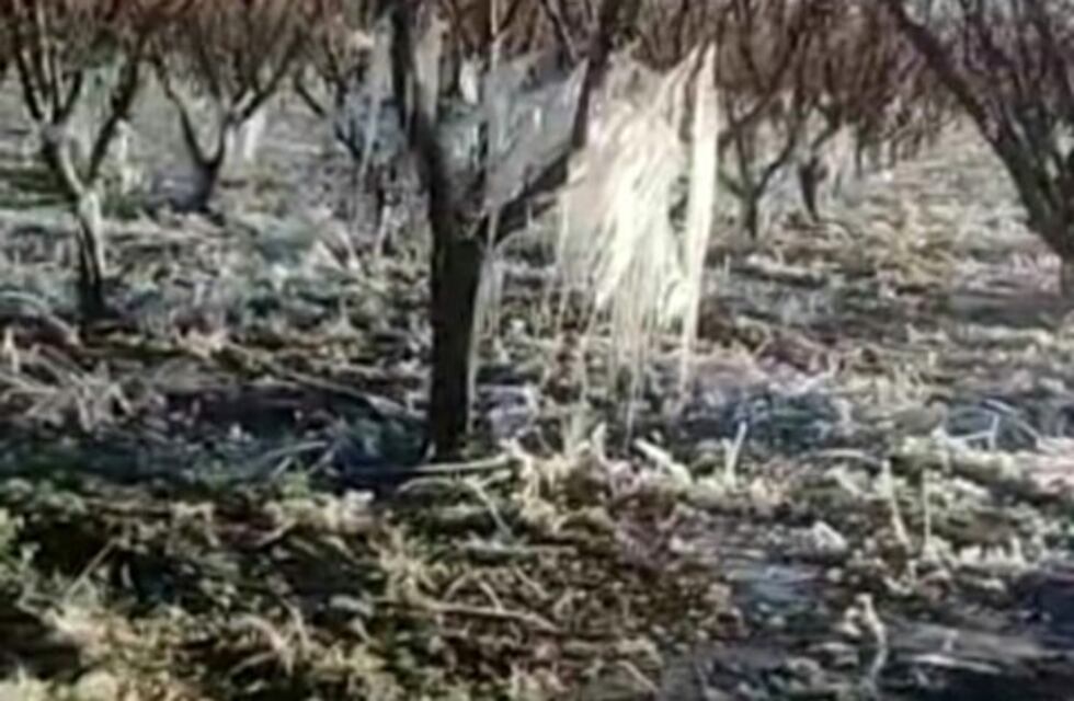 Alertan por heladas en Mendoza durante la semana