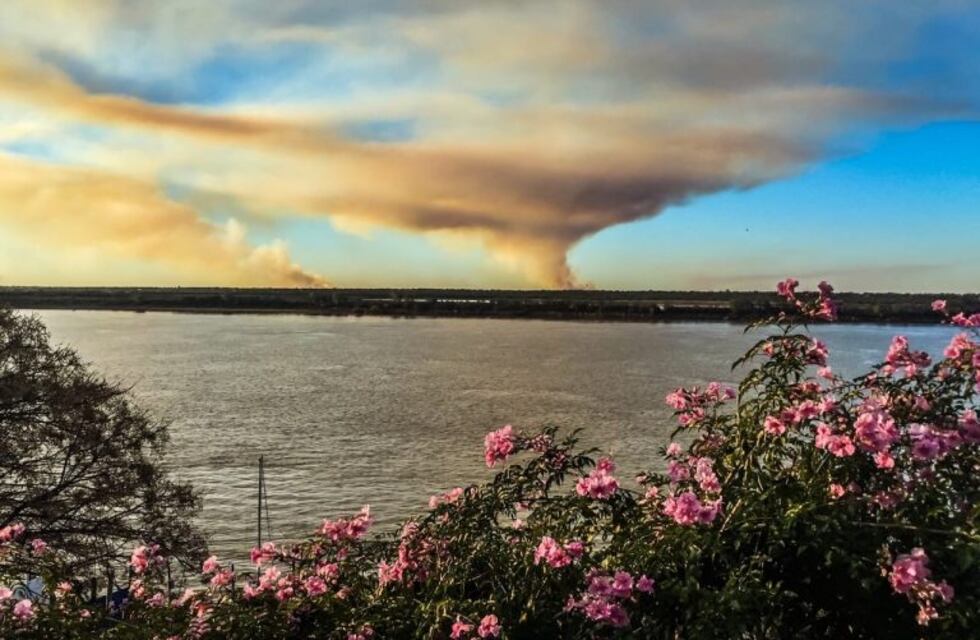 Justicia Federal prohibió las quema en las islas y el fallo beneficia a Rosario