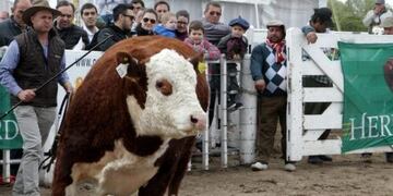 Ganaderu00eda Ru00edo Cuarto