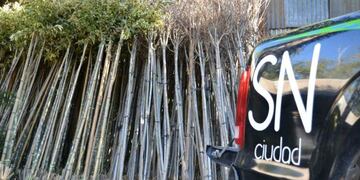 1500 ejemplares estarán disponibles tanto para vecinos como para instituciones\u002E (Archivo)