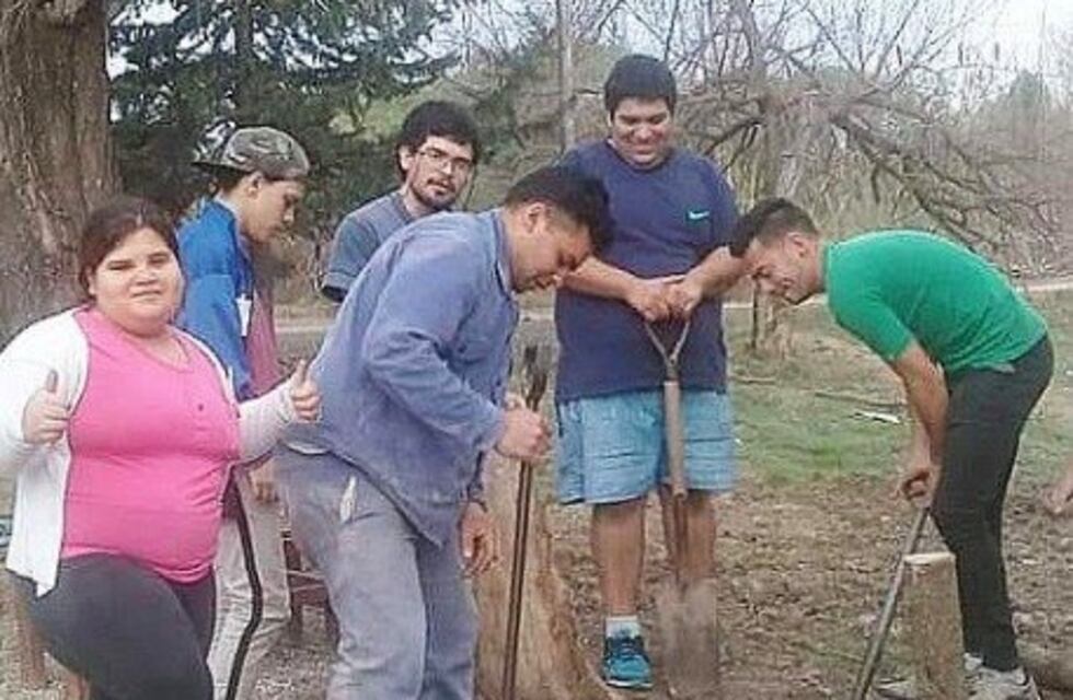 Jóvenes crearon un espacio verde para pasar la cuarentena