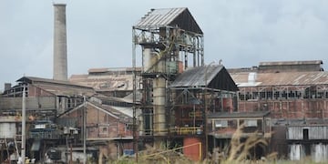 Las lluvias complican el desarrollo de la zafra 2019\u002E (Web)