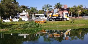 Se siguen extrayendo las algas del lago San Roque