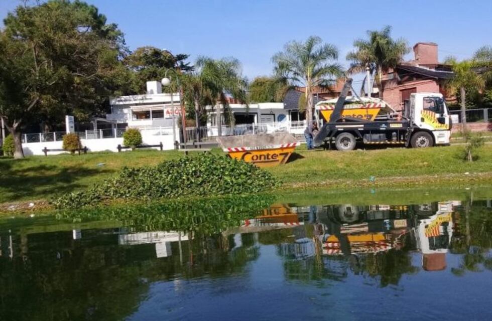 Se siguen extrayendo las algas del lago San Roque