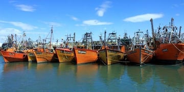 Flota Amarilla\u002E