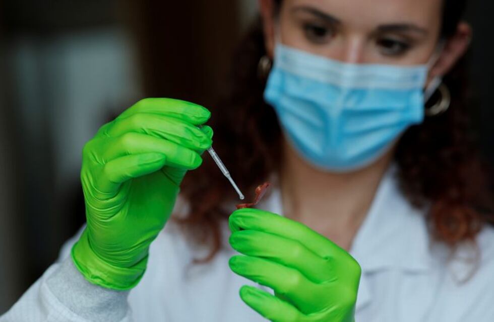 Coronavirus: se registraron 563 casos en la provincia