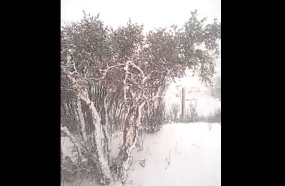 ¡Tremendos videos! Así nevó en las Altas Cumbres