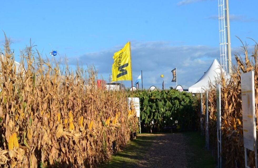 ExpoAgro 2020: horarios, fechas y lugar