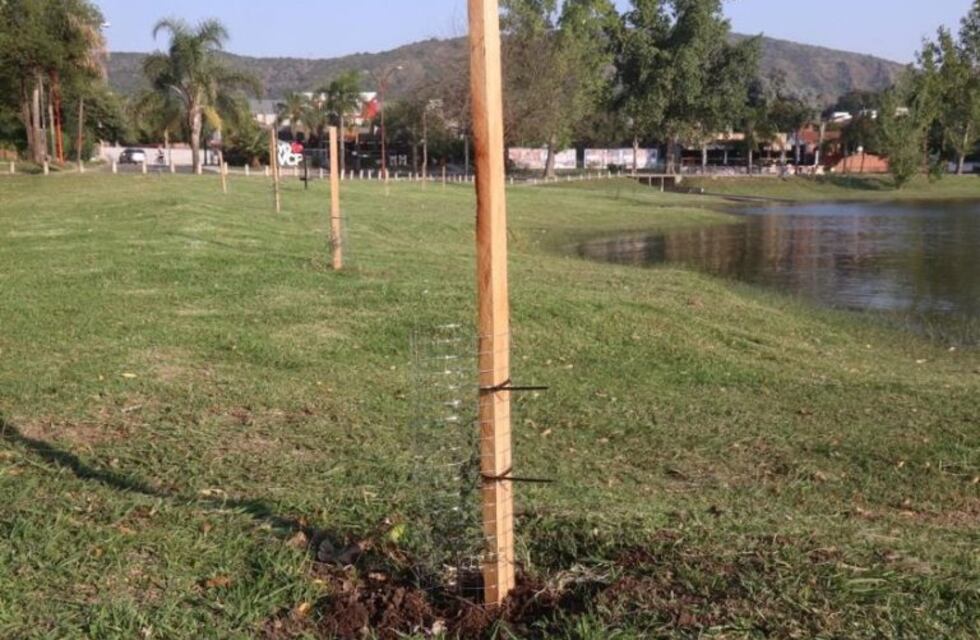 Se plantaron 4050 árboles nativos en la Costanera de Carlos Paz