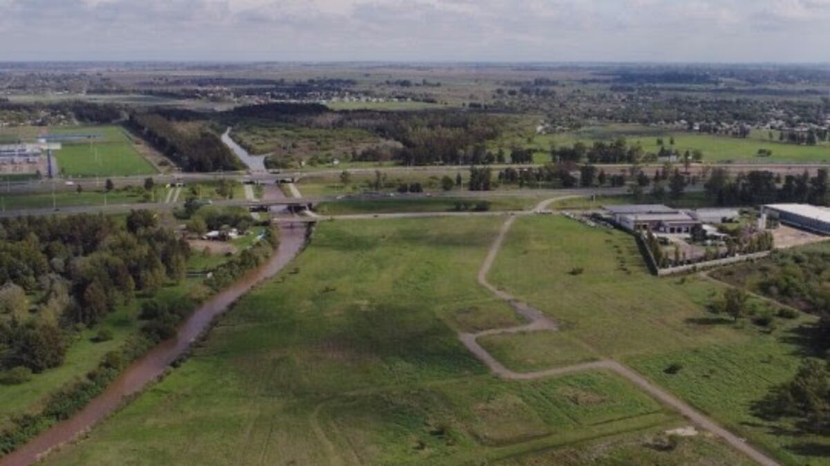 La actividad se realizará el próximo sábado\u002E (Municipalidad)