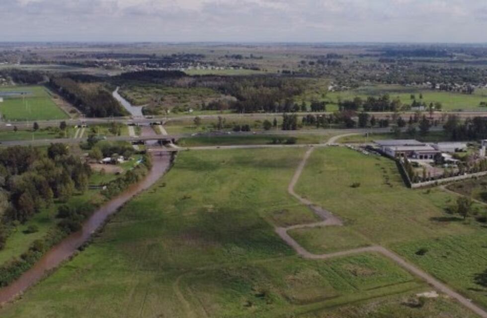 Nueva convocatoria para plantar mil árboles en el Bosque de los Constituyentes