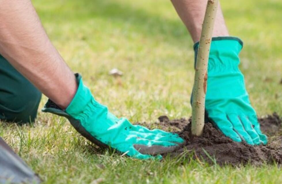 Villa Fontana: lanzaron el programa de forestación "Ecomascota"