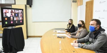 Videoconferencia por transporte