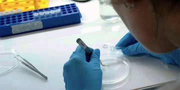 Salud confirmó cinco nuevos casos de coronavirus en el Chaco\u002E (Web)\u002E