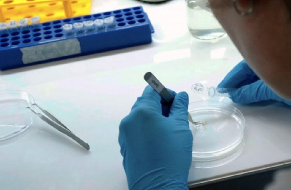 Salud confirmó cinco nuevos casos de coronavirus en el Chaco