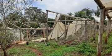 La tormenta causó estragos en la huerta de Eldorado\u002E
