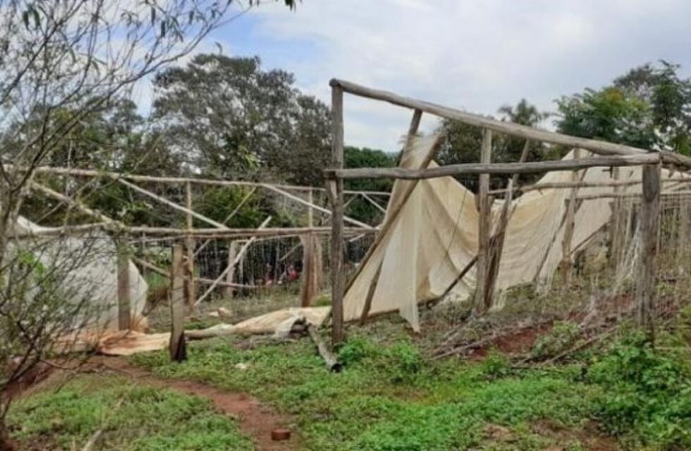 Productor perdió casi toda su estructura y producción por las tormentas