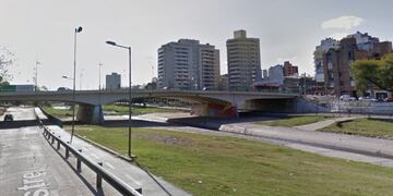 Se arrojaron al río para salvar a su perro\u002E