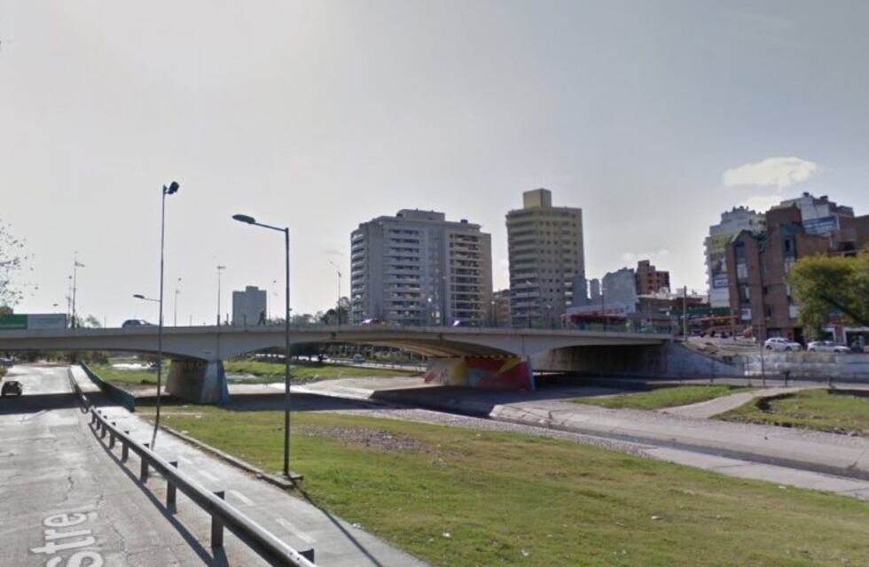 Se arrojaron al río para salvar a su perro y los tuvieron que rescatar a ellos