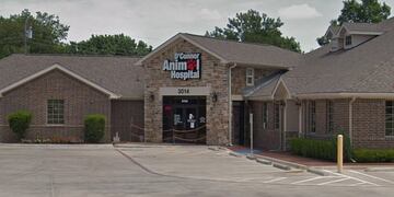 El refugio donde Johana Villafañe murió atacada por sus perros pitbull (Web)