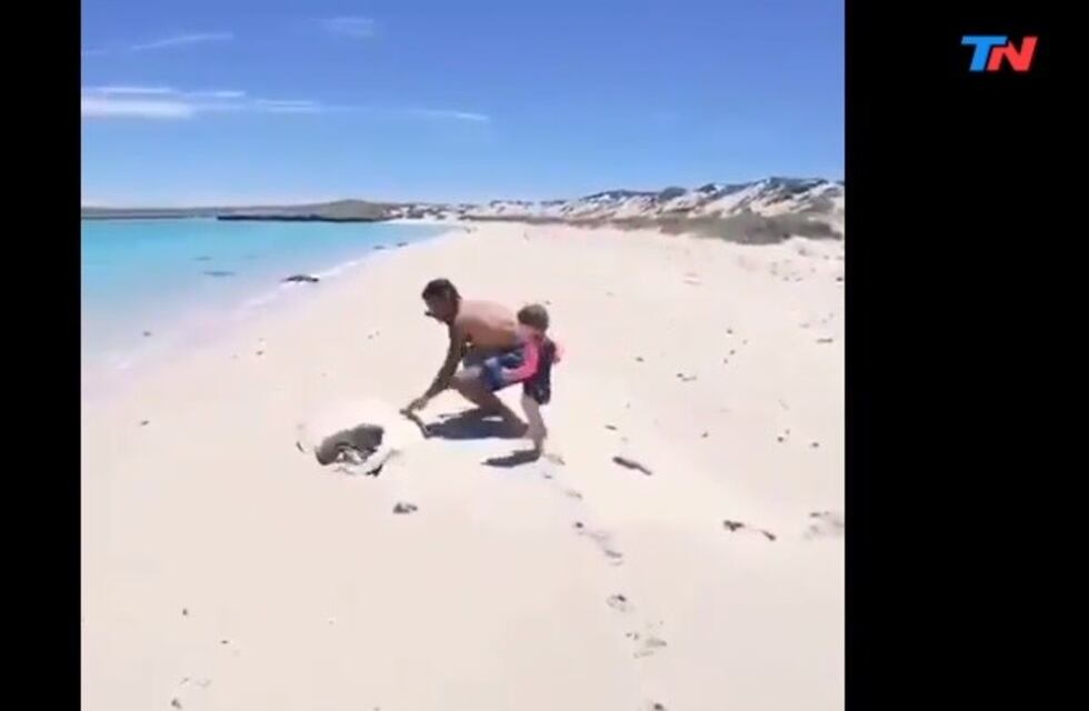 Dos héroes anónimos rescataron a una tortuga marina