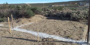 Desactivaron una usurpación de tierras