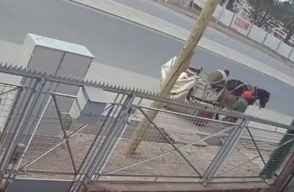 Cartoneros le robaron el puente de su casa y quedaron grabados