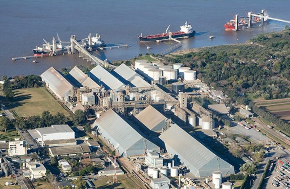 Sancionaron a la mitad de los complejos agroexportadores por fallas en salud y seguridad