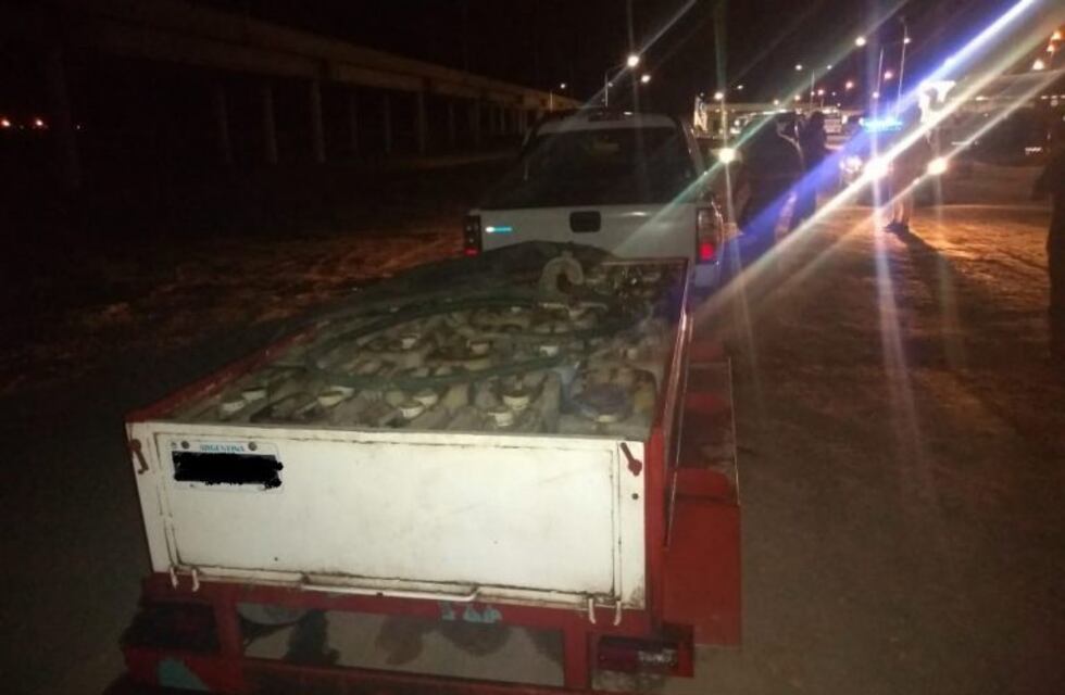 Leones: atrapados mientras robaban a un camión de combustible