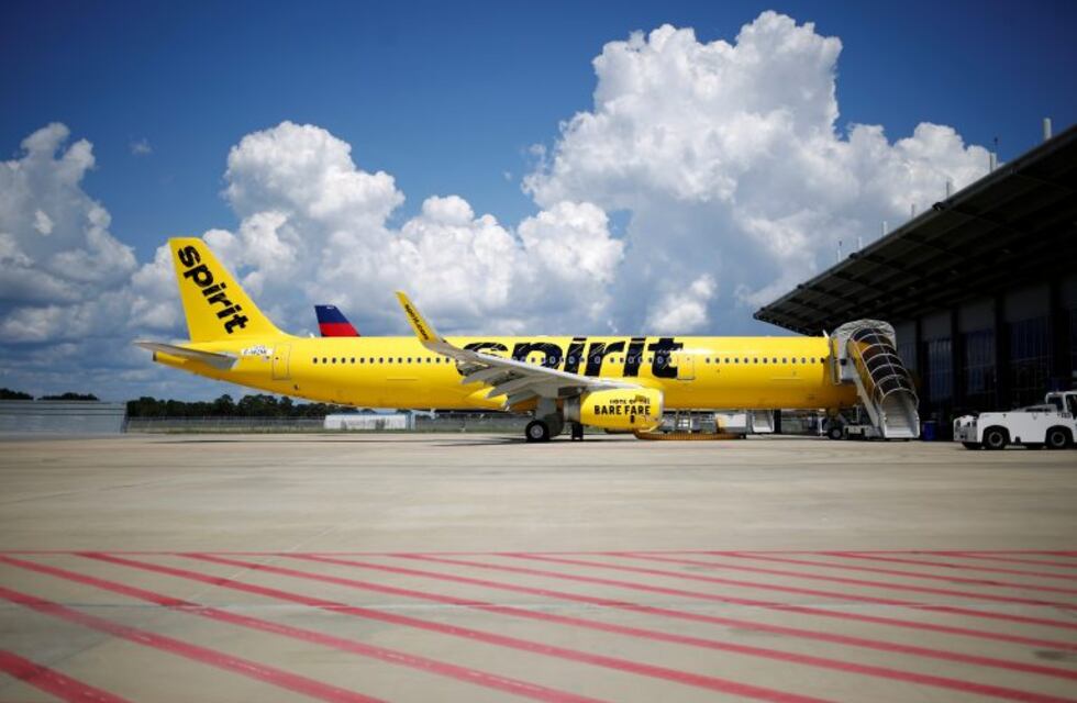 Se enojó cuando le pidieron que apagara el celular, comenzó a gritar y mostró su cola en el avión