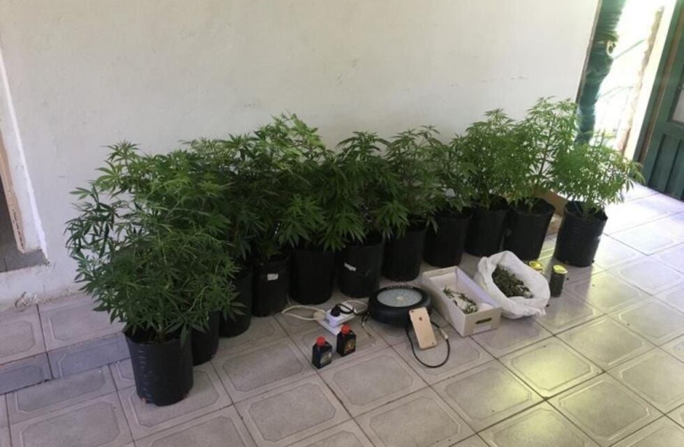 La policía detuvo a un hombre de 38 años e incautó más de dos kilos de marihuana