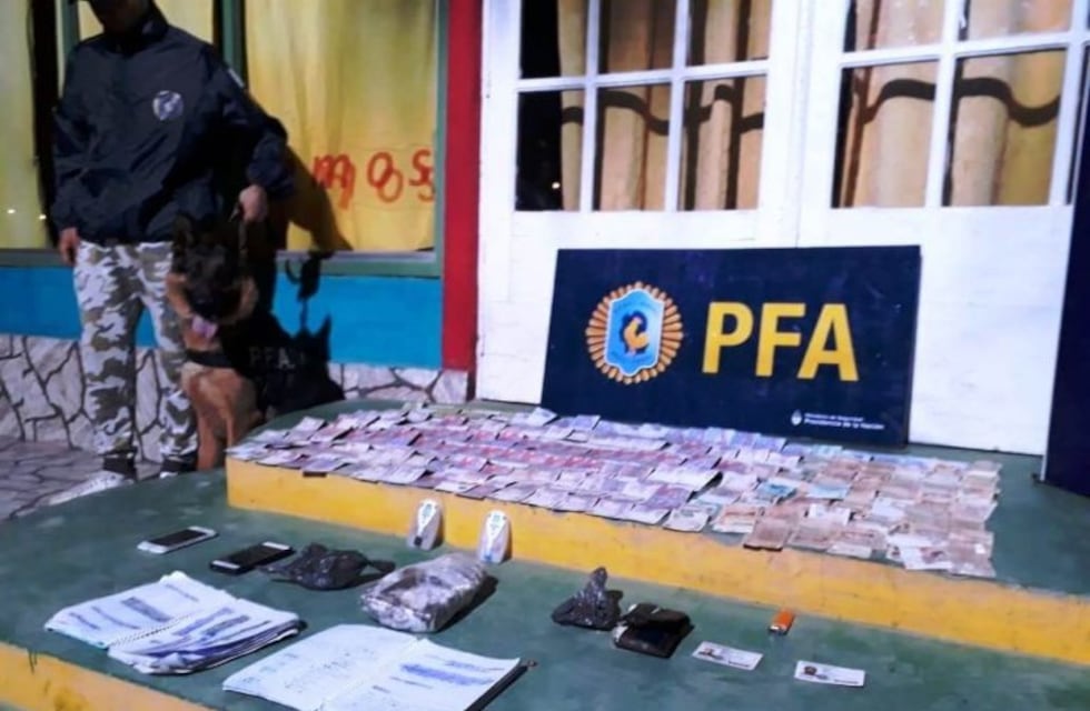 Quisieron pasar droga de Mendoza a San Juan pero los delató un perro