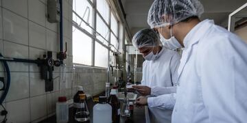 Peoducción de alcohol en gel en Farmacoop de Buenos Aires (Argentina) EFE/Juan Ignacio Roncoroni\nImagen ilustrativa\u002E