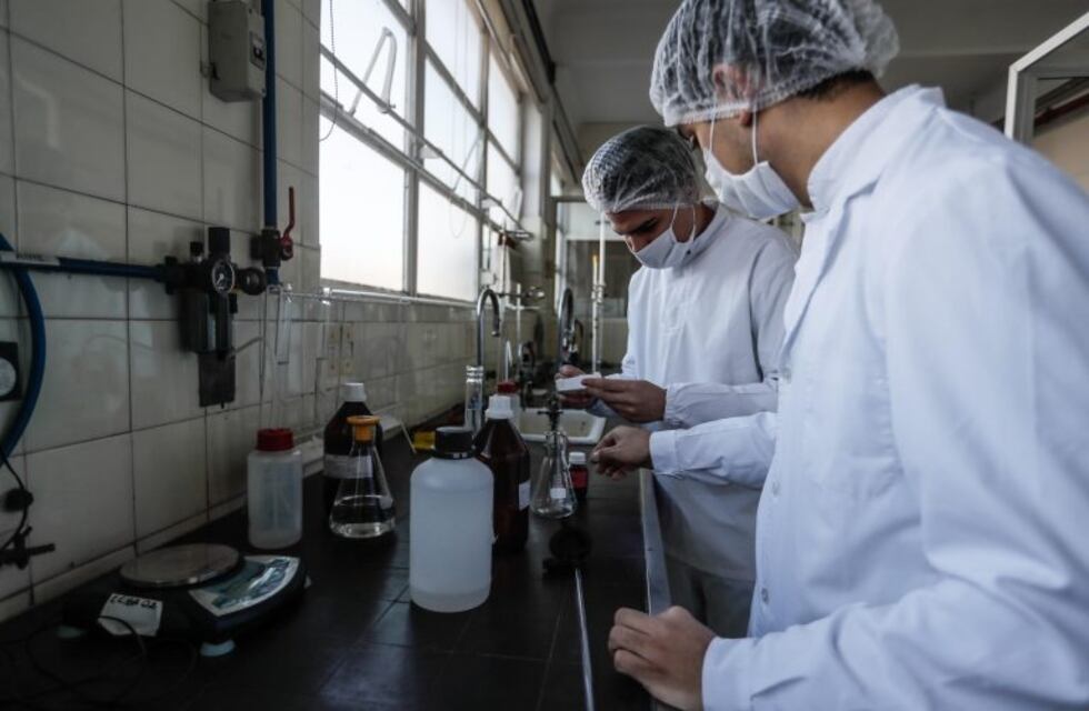 Récord de producción de alcohol y de azúcar en Misiones