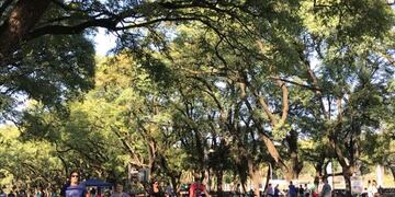 Calle Recreativa en el Parque de la Independencia\u002E (@DomingoPA1230)