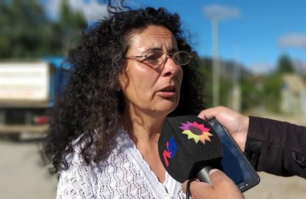 Bettina Fernández: ''Vecinos irresponsables están frenando el final de una obra importante''