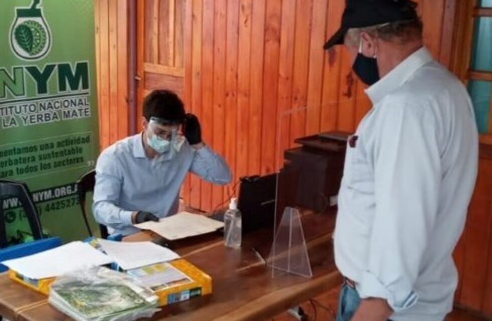 San Vicente: el INYM visitará el municipio para inscribir a yerbales y productores