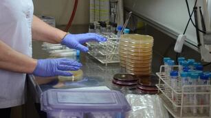 Nueva muerte por el Streptococcus pyogene.