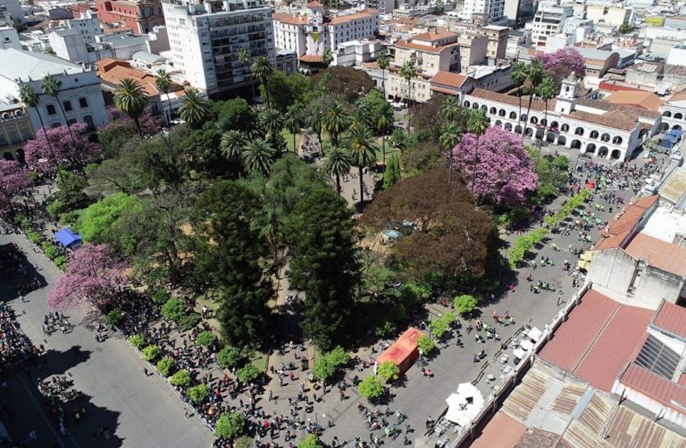 Según un estudio el 70 por ciento de los árboles de Salta son especies exóticas