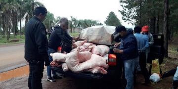 Carne de cerdo decomisada en Oberá