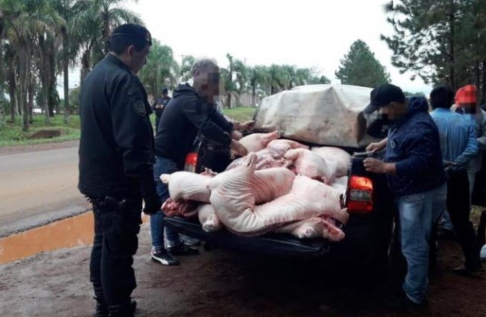 Decomisaron media tonelada de carne transportada de manera insalubre