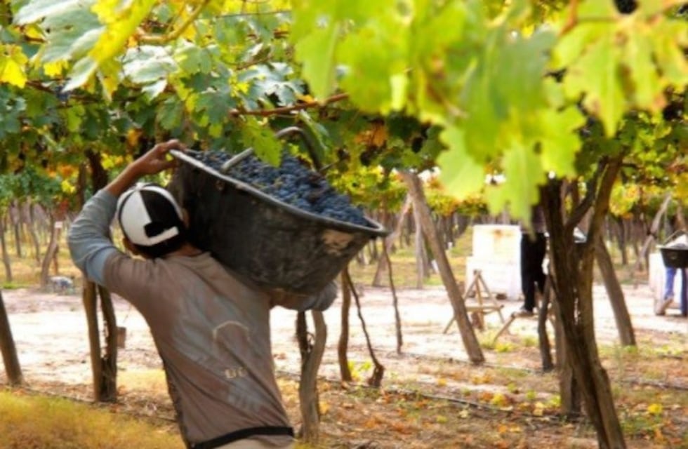 Destinan más de mil millones de pesos para financiar a productores viñateros