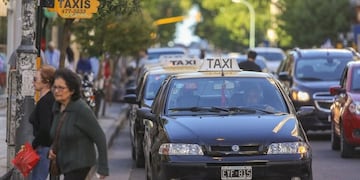 Taxistas marplatenses (web)\u002E