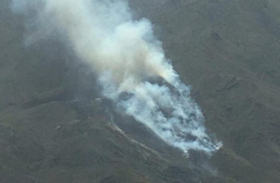 Contienen un incendio forestal de 50 hectáreas en Tupungato