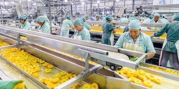 Este mes comienzan las mesas de negociaciones para fijar los precios de las frutas industriales\u002E