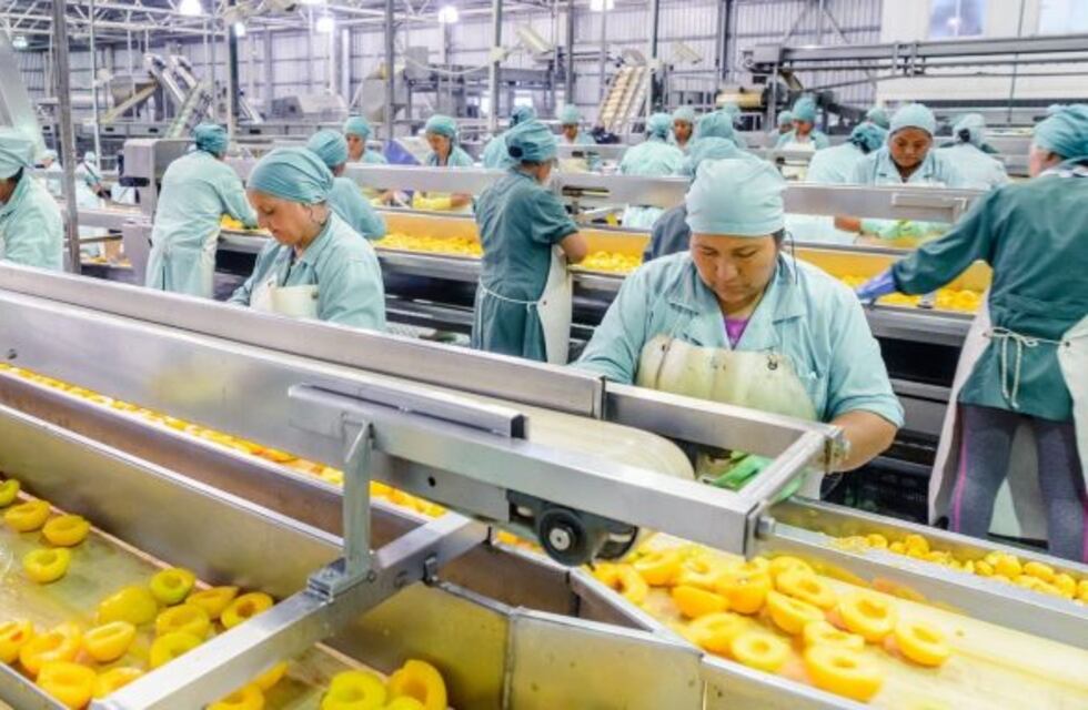 Arranca el acuerdo de precios y formas de pago de la fruta industrial