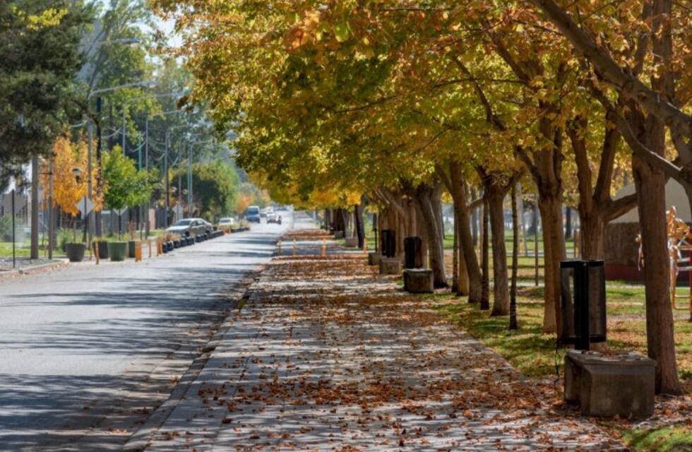 Cómo va a estar el clima en Neuquén el fin de semana largo