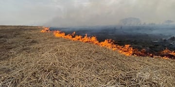 Fuerzas de seguridad provinciales y federales fueron desplegadas en las islas en varias ocasiones desde junio\u002E (@gustavozignago)