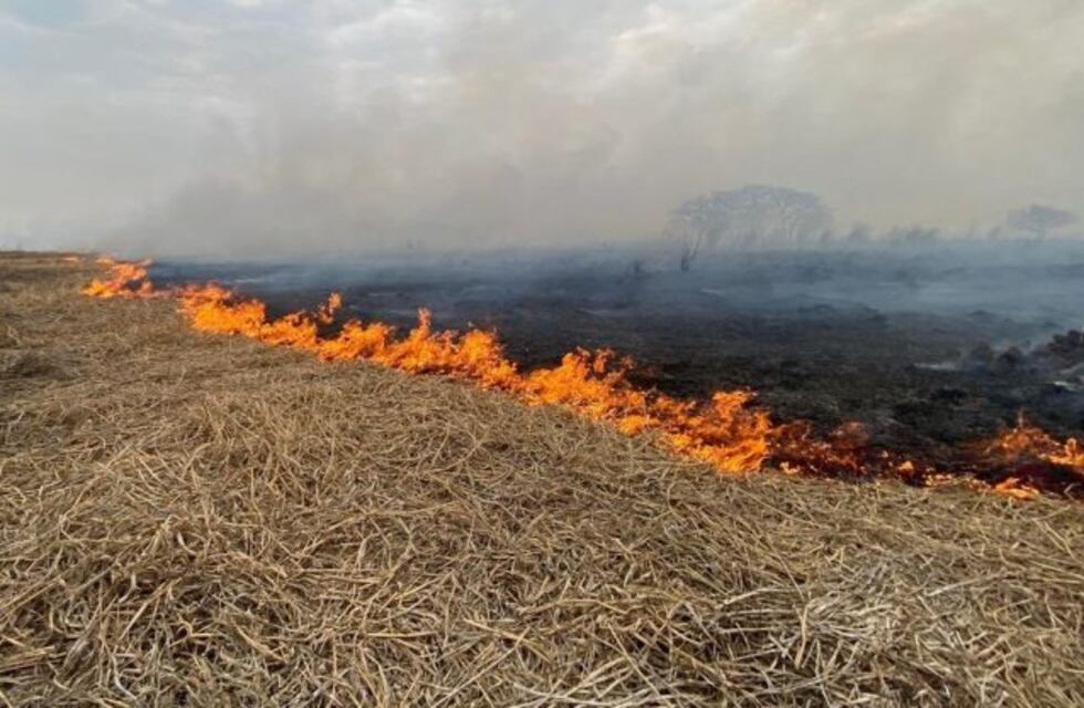 Incendios en las islas: advierten malos antecedentes del fallo de la Corte