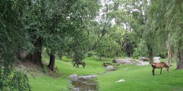 Arroyo Alta Gracia